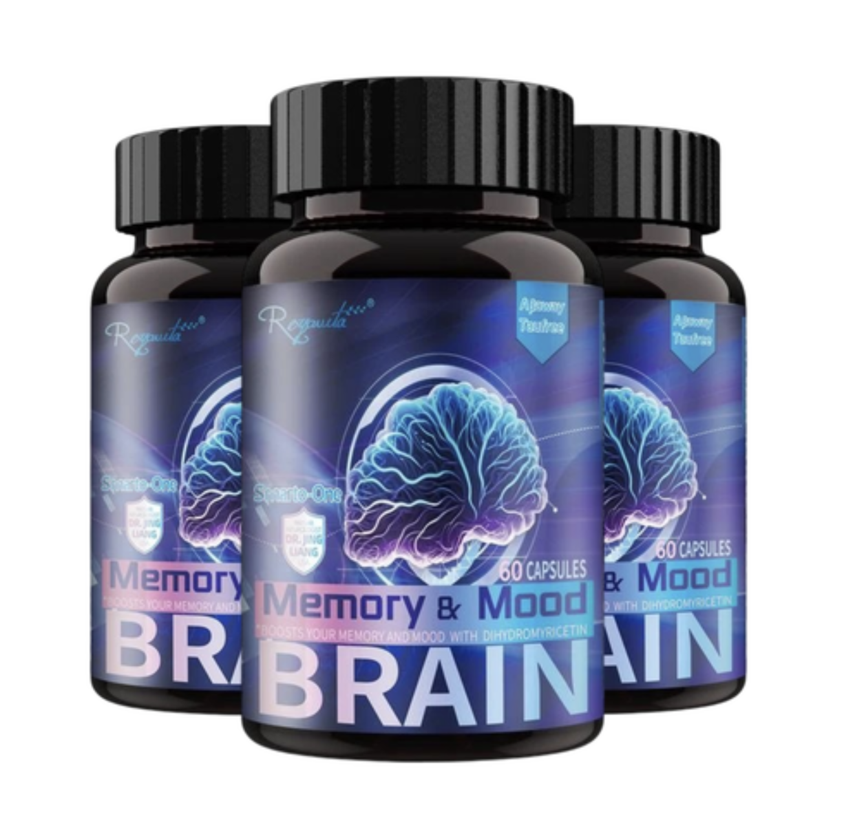 Memory Mood Brain